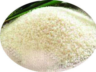 Basmati price slides, so do rice mills’ fortunes