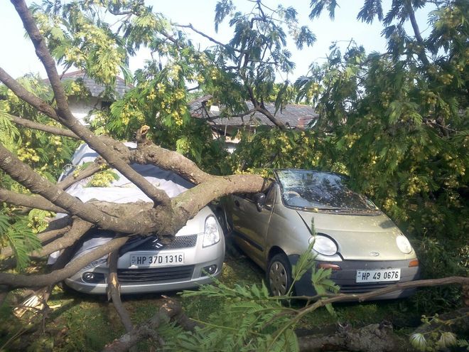 Storm hits crop, power supply 
in Palampur
