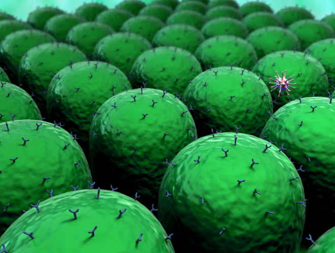 mechanism that causes cancer to metastasize identified