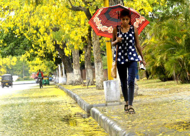 Rain makes weather pleasant in Chandigarh, Punjab