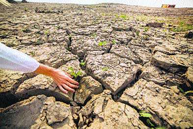 Dealing with a possible drought