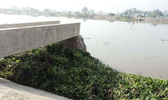 2 bridges collapse in Ferozepur