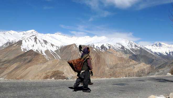 Now, siblings to share property in Spiti
