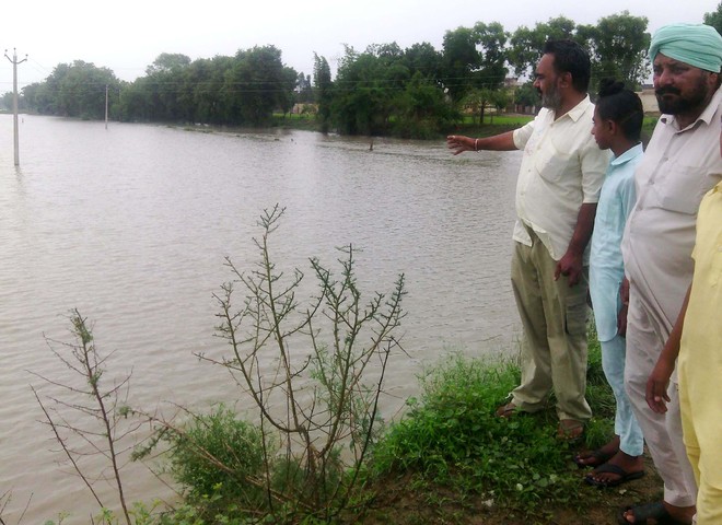 Sirhind choe overflows, fields in 100 villages flooded