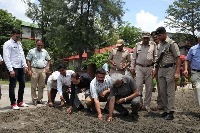 Bhagwan Singh institute to distribute 1 lakh ‘mahua’ saplings to farmers