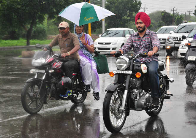 Image result for punjab heavy rain