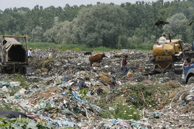 Srinagar civic body all set to convert waste into electricity