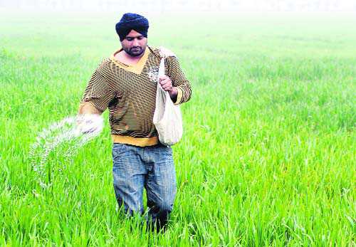 Funds for short-term crop loans cut, 10.5 lakh farmers to be hit