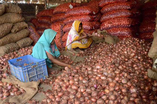 MMTC floats tender for import of onion