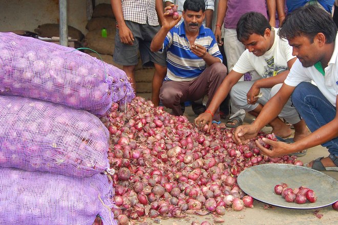 Mandi samiti sells onions at Rs 40 per kg
