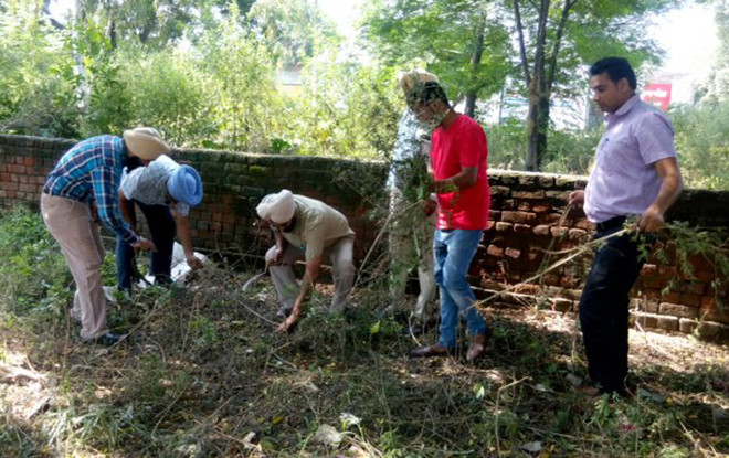 Administration kicks off campaign to uproot gajar booti, congress grass