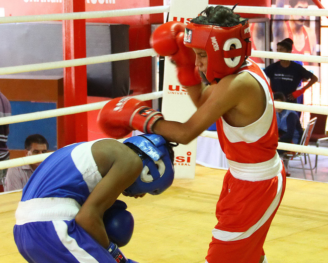 Pml Sd Public School Pugilists Bag Overall Trophy