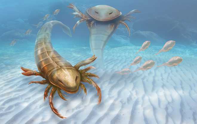 460-million-year-old bizarre ''sea scorpion'' fossil discovered