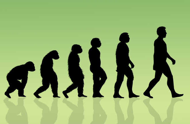 Human body went through four stages of evolution