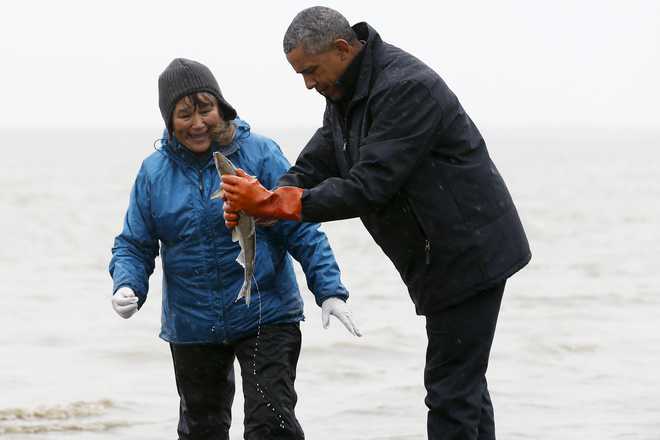 Obama''s Arctic adventure ends with sinking village, fish spawn