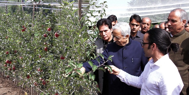 A first: Kashmir valley gets high-density apple orchard