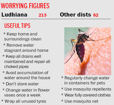 70 new dengue cases reported