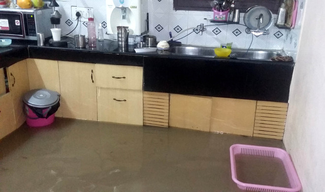 Rain brings misery to Mohali residents : The Tribune India