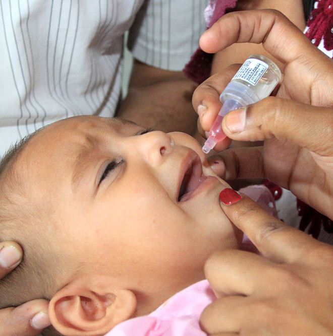 Experts warn against complacency on polio resurgence