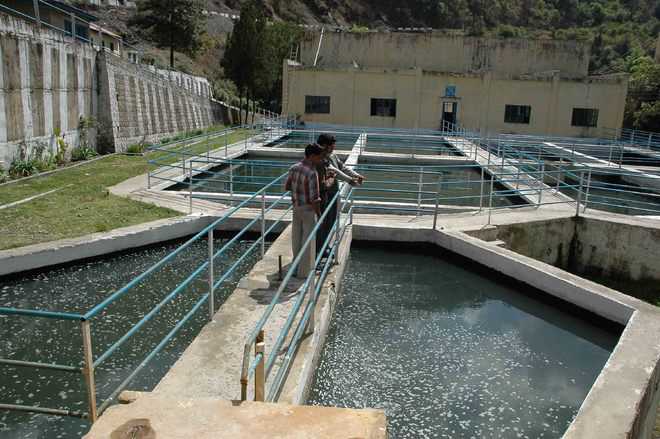 Now, water supply to Shimla on alternate days