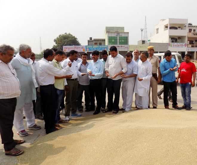 No bajra procurement in Jhajjar as farmers fail to produce documents