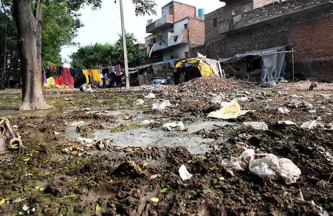Another suspected dengue death reported from Mohali