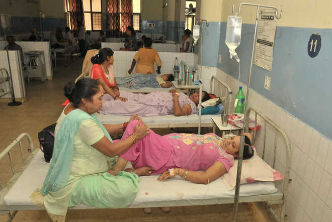 Dengue cases reach 341 in city