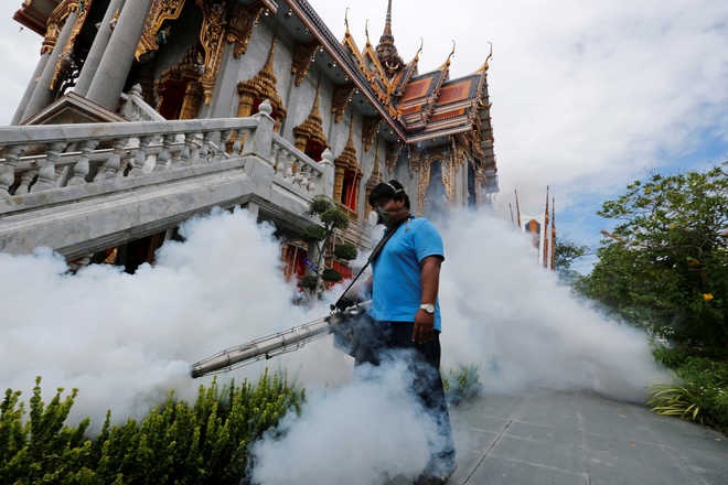 Zika virus likely to spread across Asia: WHO