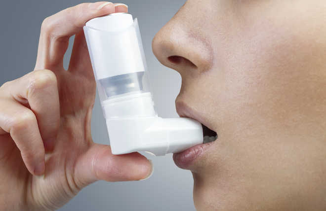 Diverse gut bacteria protect against asthma