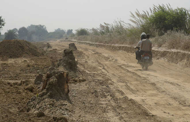 1,763 trees to face the axe for two Karnal bypasses