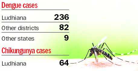 14 more case of chikungunya, dengue count hits 327