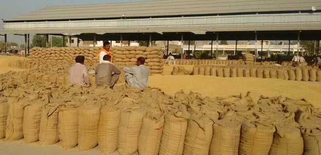 ‘50 pc paddy lifted’, officials told to expedite