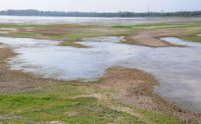 Tertiary treated water may fill up Sukhna Lake