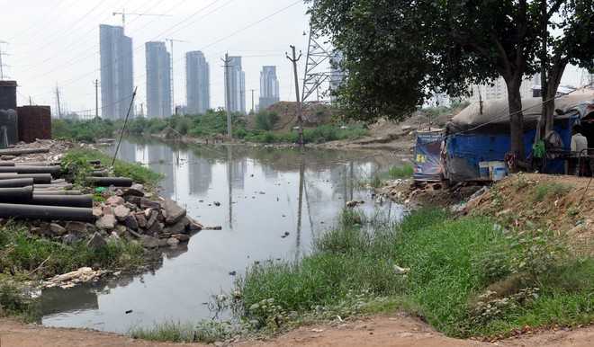 Gurgaon’s Badshahpur drain to be widened