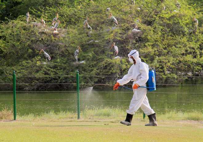 Central panel to monitor bird flu threat