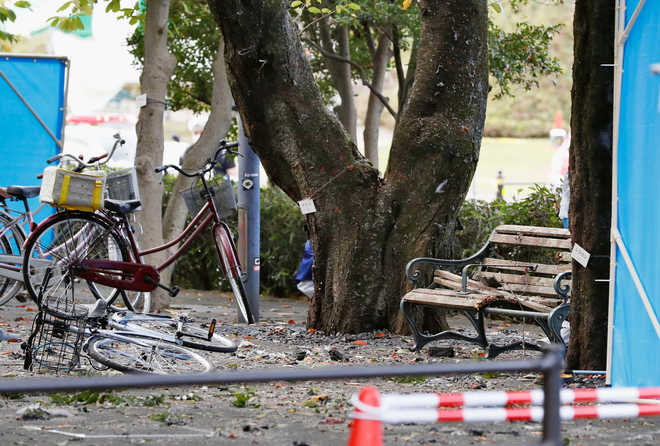 Japanese suicide pensioner blows himself up in park, injures three others