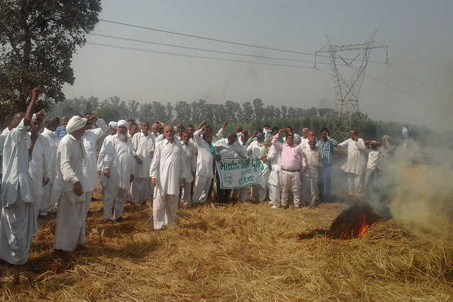 Farmers defy admn orders, burn stubble in the open