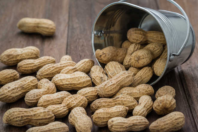 New skin patch safely treats peanut allergy