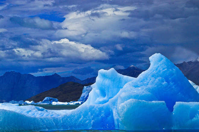 Antarctic sea becomes world''s largest marine protected area