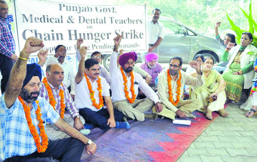 Medical teachers launch chain hunger strike