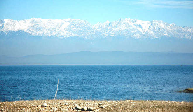 Image result for Pong Dam Lake, Himachal Pradesh