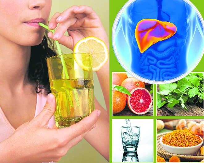 Towards A Healthy Liver The Tribune India