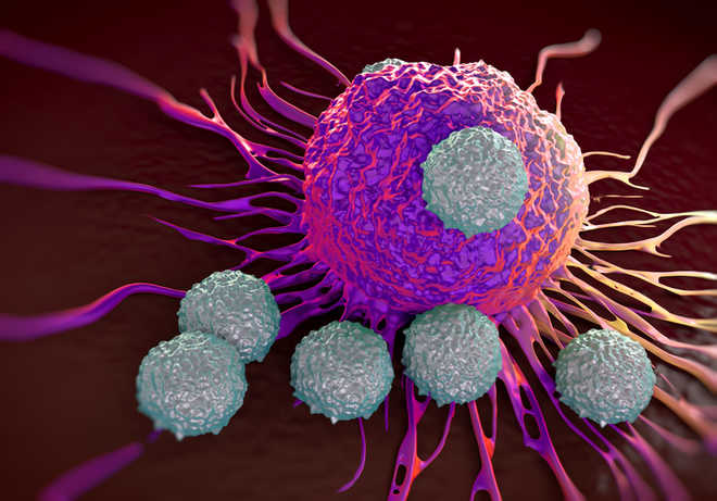 Human cells with ''built-in circuit'' to help stop cancer growth