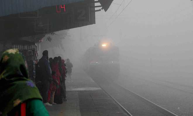 Dense fog in Punjab, Haryana affects road and rail traffic : The Tribune India