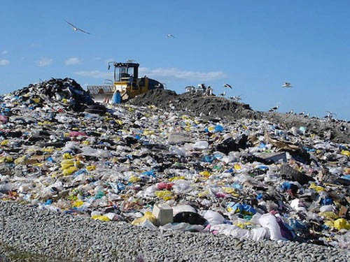 Pollution Control Board cracks whip on waste-generating units