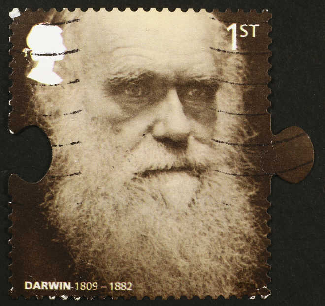 51-mn-yr-old genetic secret to Darwin''s theory unlocked