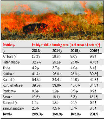 Paddy straw burning area rose 24% in 10 districts this year