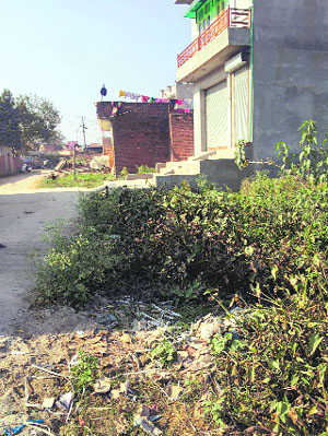 Village adopted by Sampla cries for attention