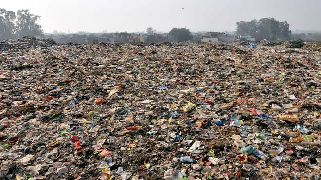 Garbage Dumping Ground Raises Stink In Ward No 6 The Tribune India 