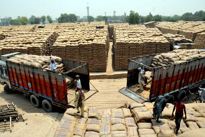 Govt does away with import duty on wheat; farmers protest